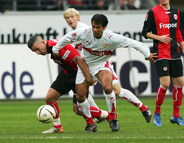 为未来的潜 为未来的潜